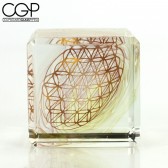 El Hefe - 5th Dimension Fume Cube